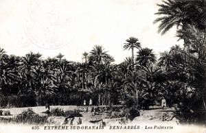Beni-Abbes - Palmeraie